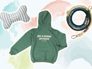 Assortment of items we recommend outlined in white and displayed on a colorful watercolor background
