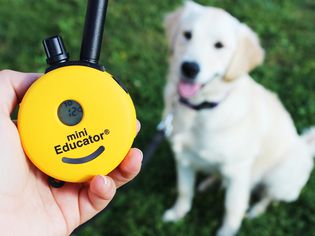 ET-300 Mini Educator Remote E-Collar