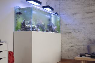水族缸