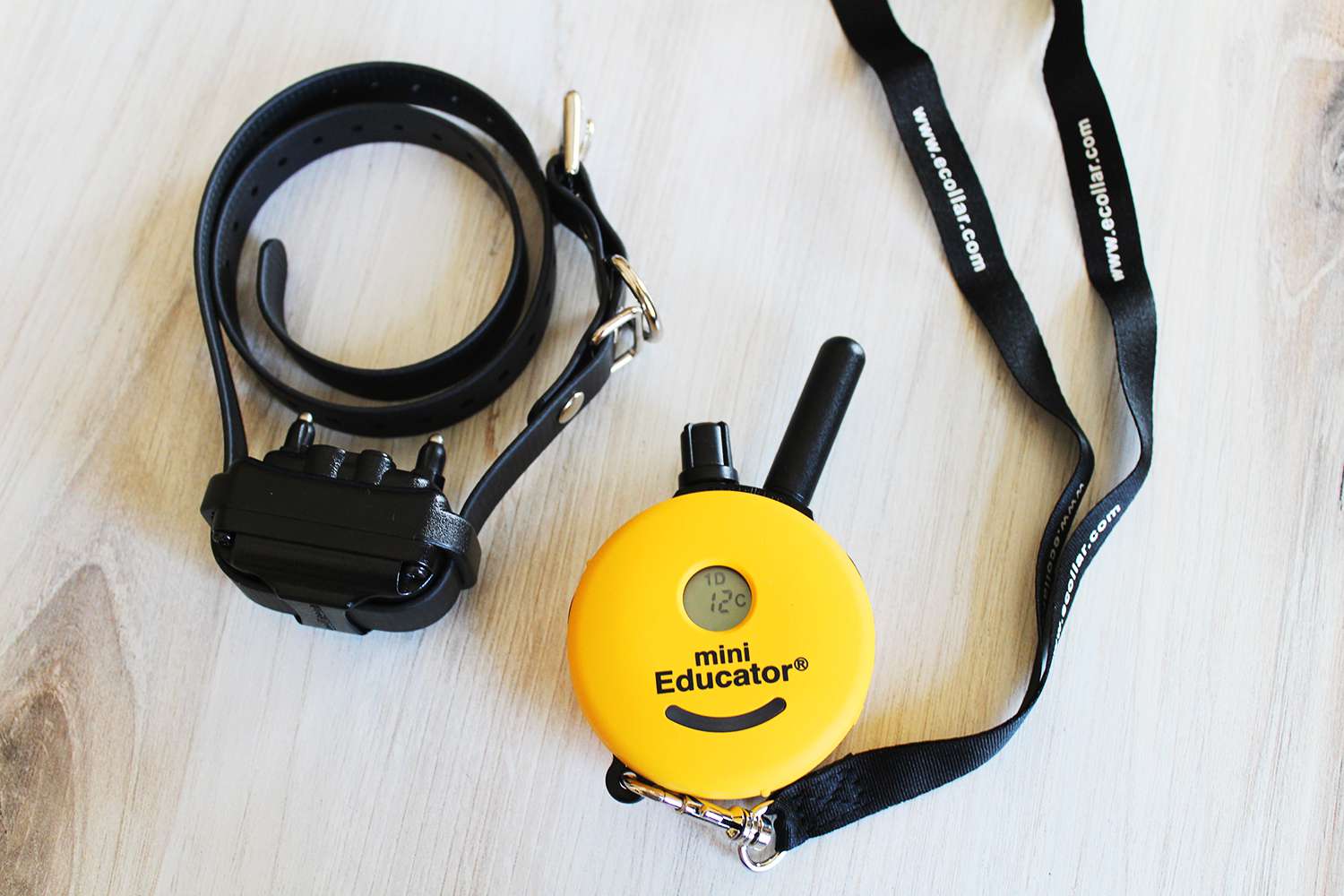 ET-300 Mini Educator Remote E-Collar
